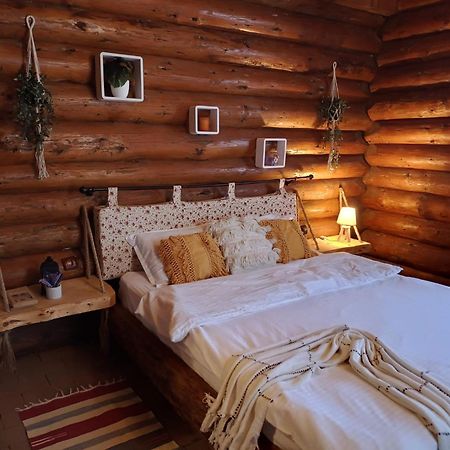 Cabana Rustic Balea Cîrţişoara المظهر الخارجي الصورة