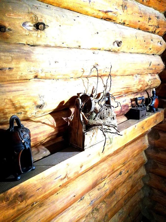 Cabana Rustic Balea Cîrţişoara المظهر الخارجي الصورة
