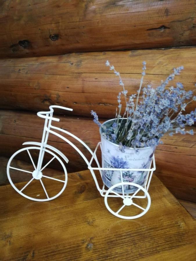 Cabana Rustic Balea Cîrţişoara المظهر الخارجي الصورة