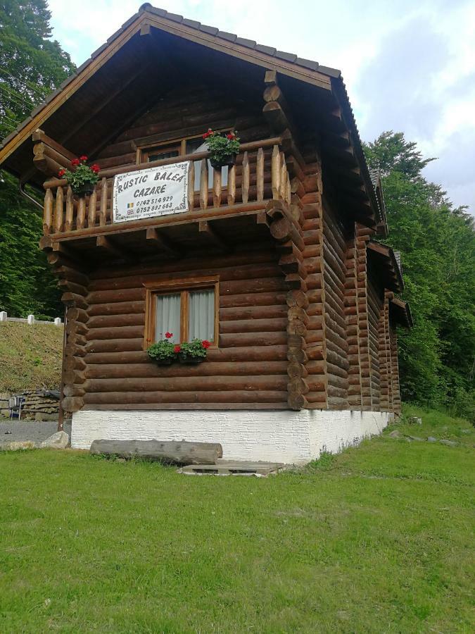 Cabana Rustic Balea Cîrţişoara المظهر الخارجي الصورة