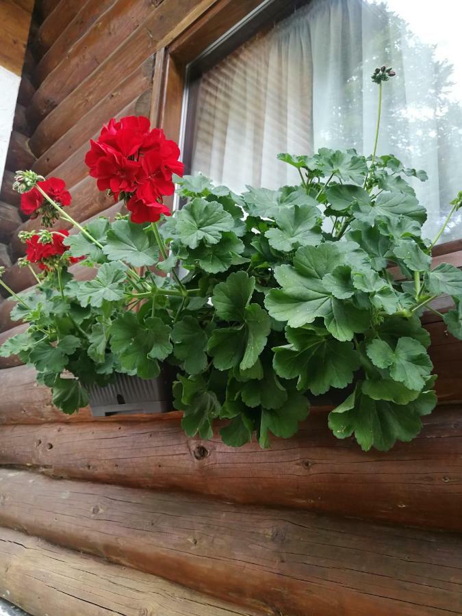 Cabana Rustic Balea Cîrţişoara المظهر الخارجي الصورة