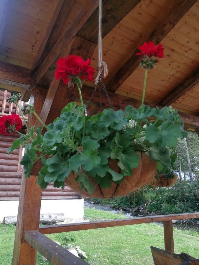 Cabana Rustic Balea Cîrţişoara المظهر الخارجي الصورة