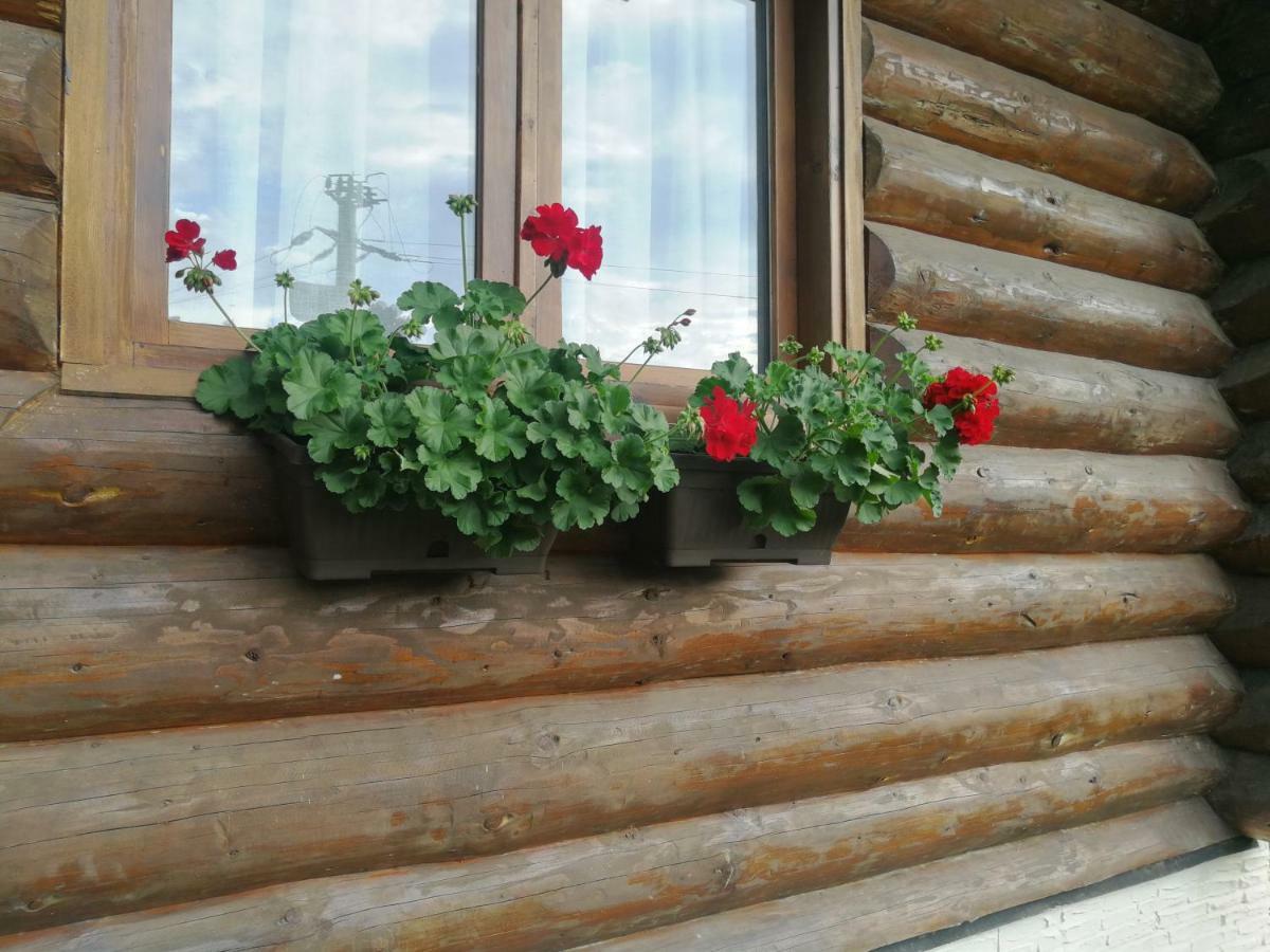 Cabana Rustic Balea Cîrţişoara المظهر الخارجي الصورة